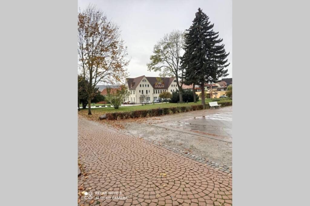 Apartment Am Kurpark Bad Frankenhausen Exteriör bild